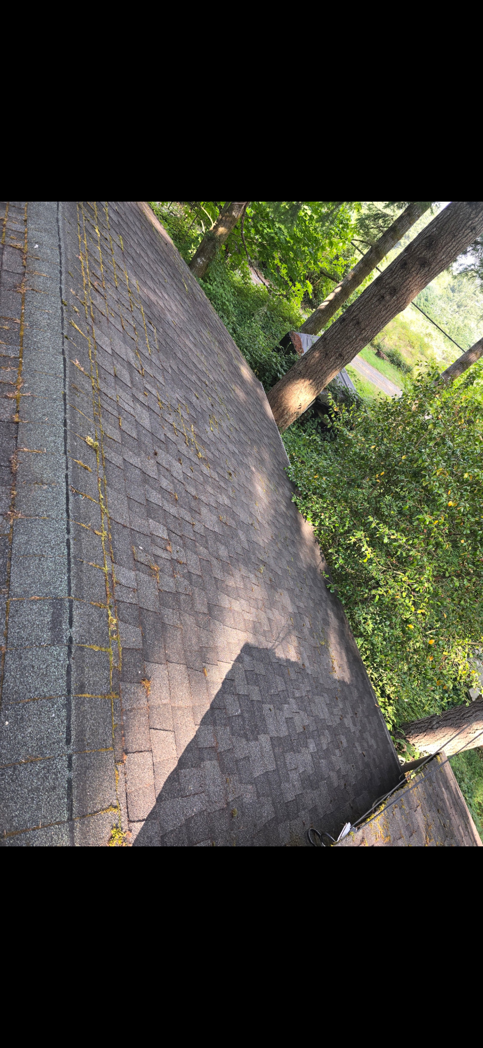 Matching roof plane at a rotated angle with less loose debris; green growth remains.